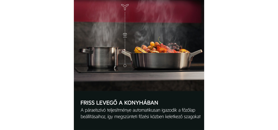 AEG DGE5661HM Aláépíthető páraelszívó